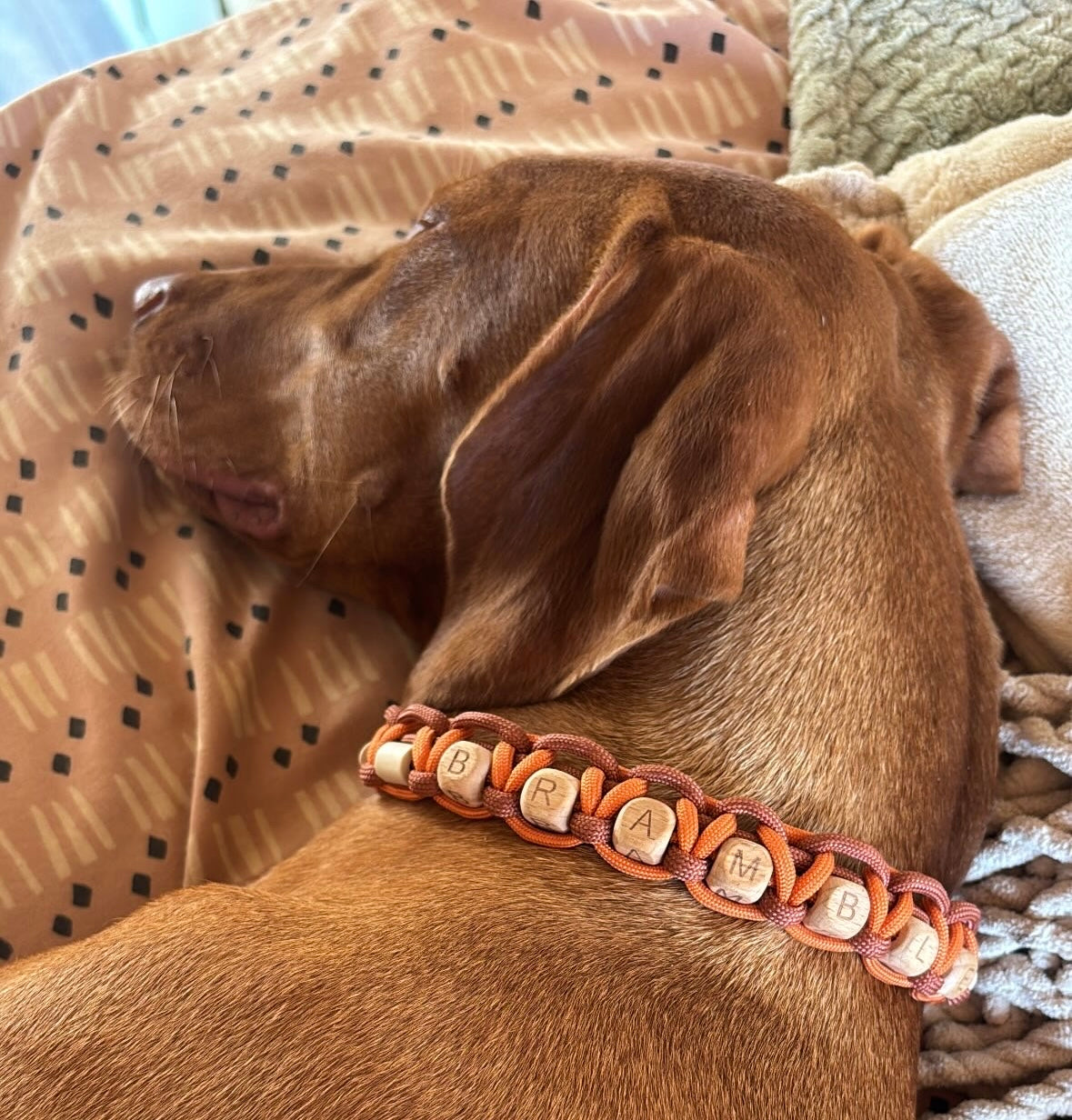 Personalised Wooden Letter Bead Anti-Tick Collar