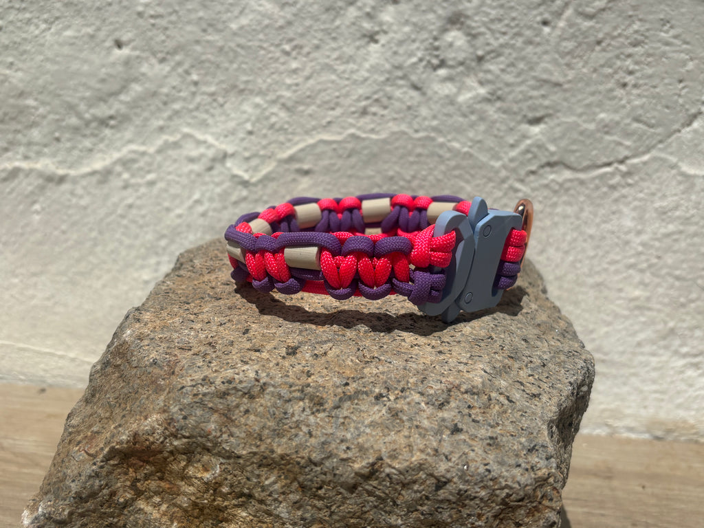 Lilac and Cerise Pink Anti-Tick Collar