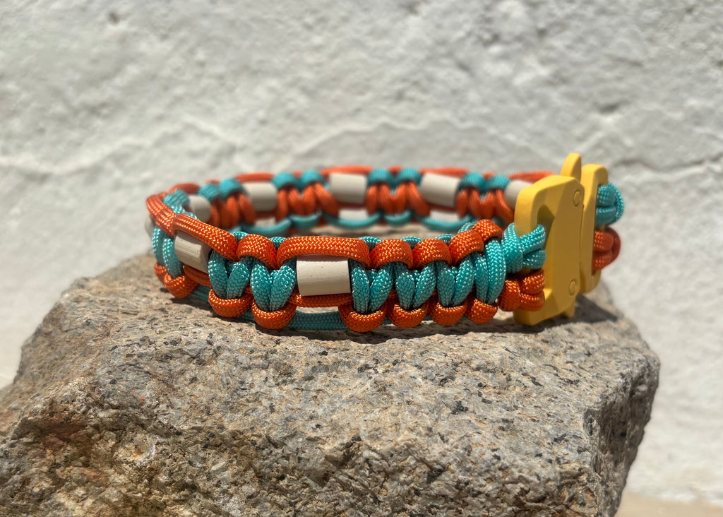 Turquoise and Fox Orange Anti-Tick Collar
