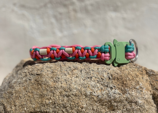 Tri-colour Turquoise, Orange and Pink Anti-Tick Collar