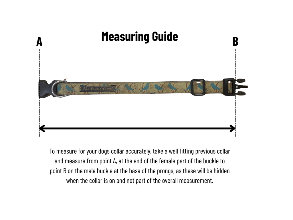 Turquoise and Fox Orange Anti-Tick Collar