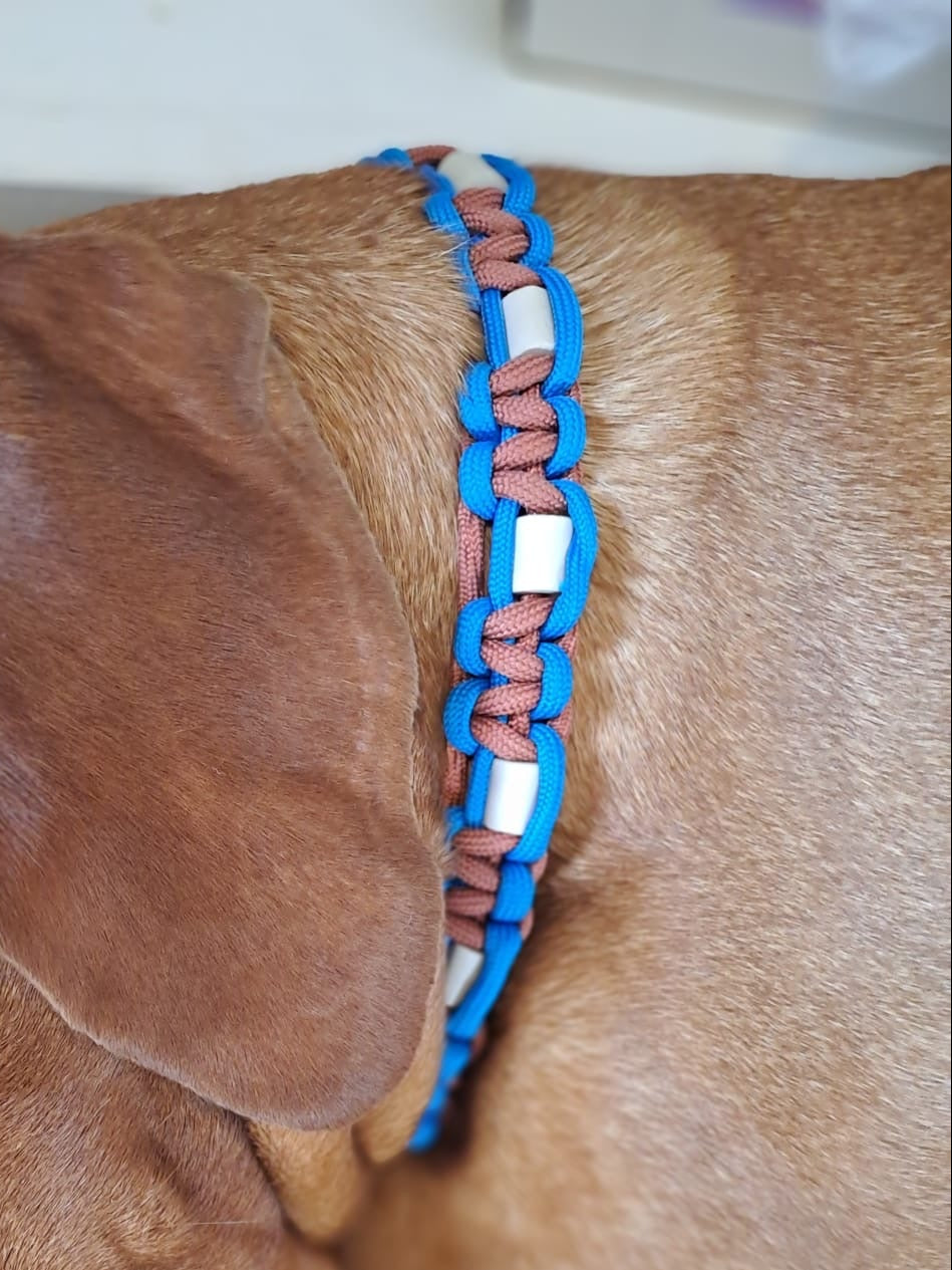 Grecian Blue and Terracotta Anti-Tick Collar
